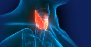 Thyroid