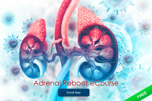 Adrenal Reboot eCourse
