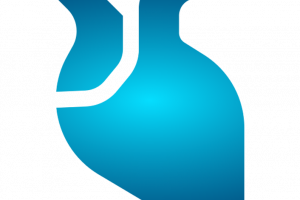 Healthy Heart