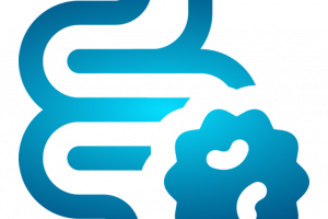 Leaky Gut Repair Program