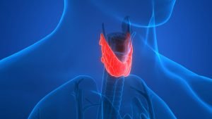 Thyroid Imbalance Quiz